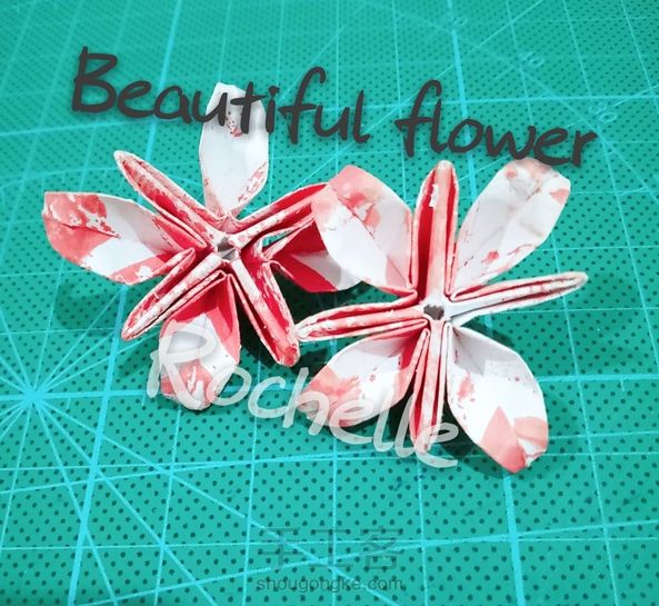 【未知名的漂亮小花🌸】