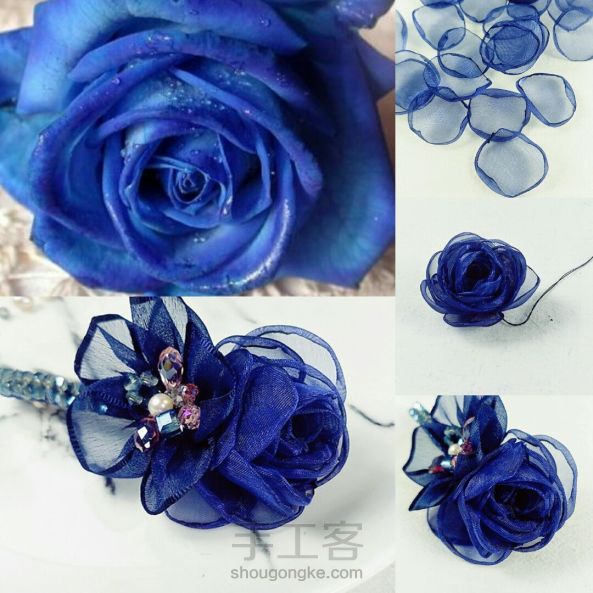 蓝色蔷薇