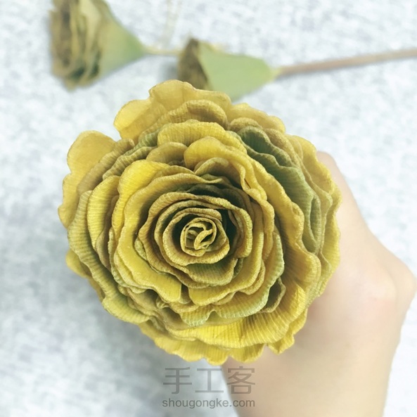 银杏叶卷的花~