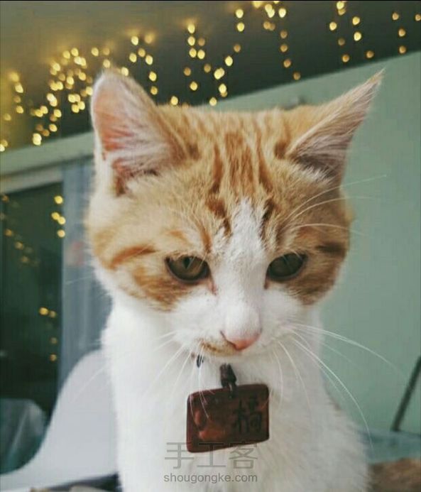可爱的猫牌制作教程,给主子做个性格牌吧!
