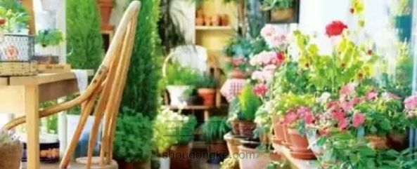 【梦姐·手工】教你在家DIY~水培植物盆栽の微型花园！