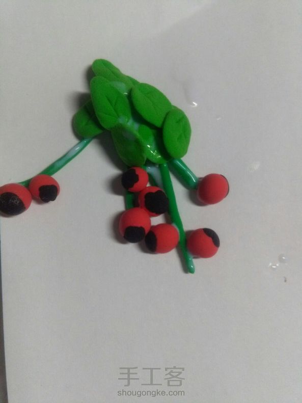 小小植物 ( 1 )