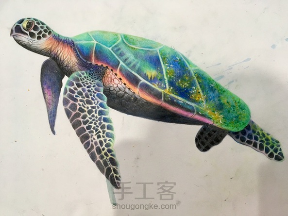 海龟—泡泡