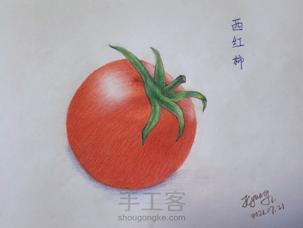 彩铅画—美味的西红柿🍅