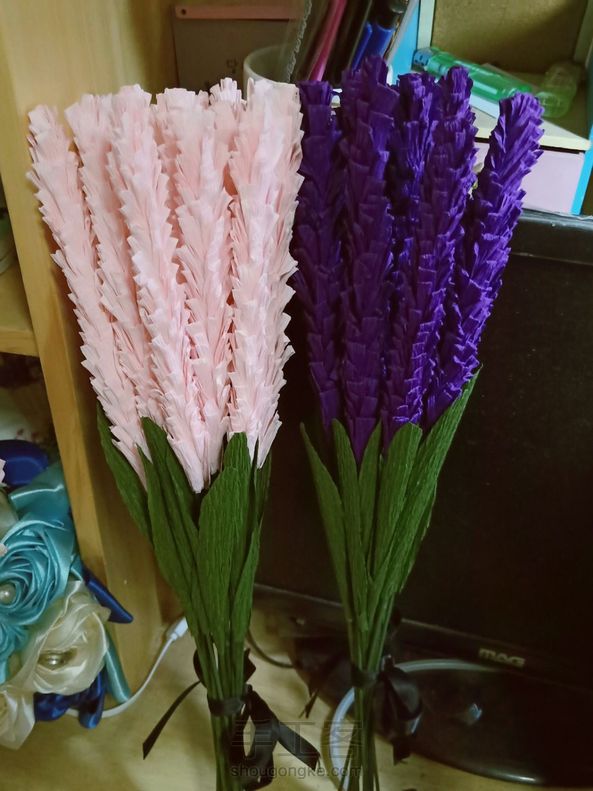 薰衣草