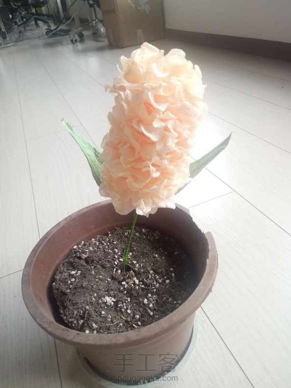 褶皱纸,纸藤,风信子