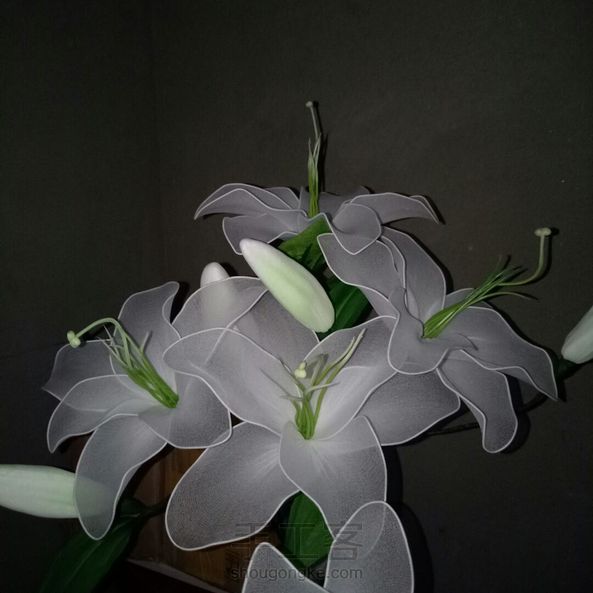 丝网百合花