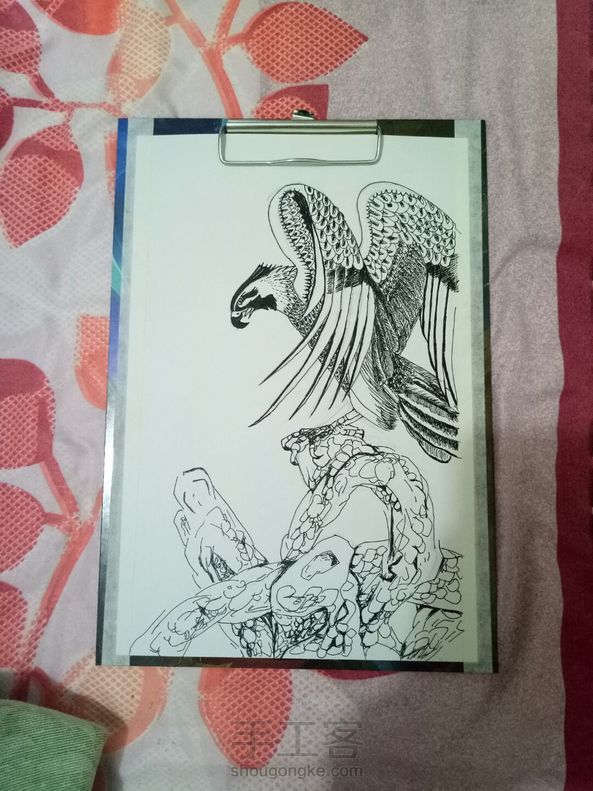 雄鹰