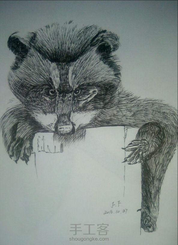 中性笔画——浣熊