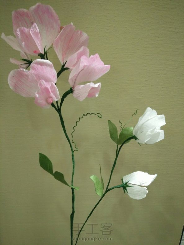 皱纹纸香豌豆花