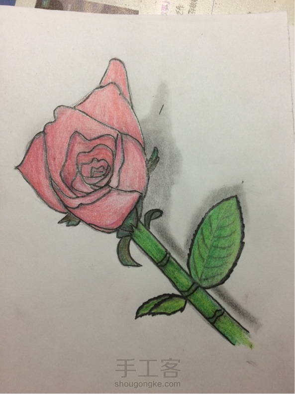 玫瑰的画法