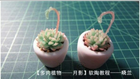 植物以及花朵的教程
非原创