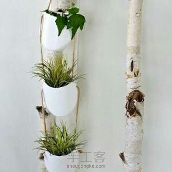 废旧瓶子变植物花盆,(转)