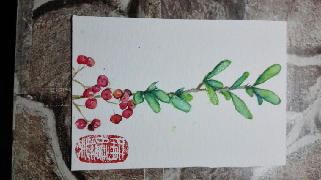 手绘水彩植物插画 第3步