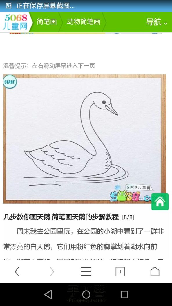 美丽动人的白天鹅简笔画(转)