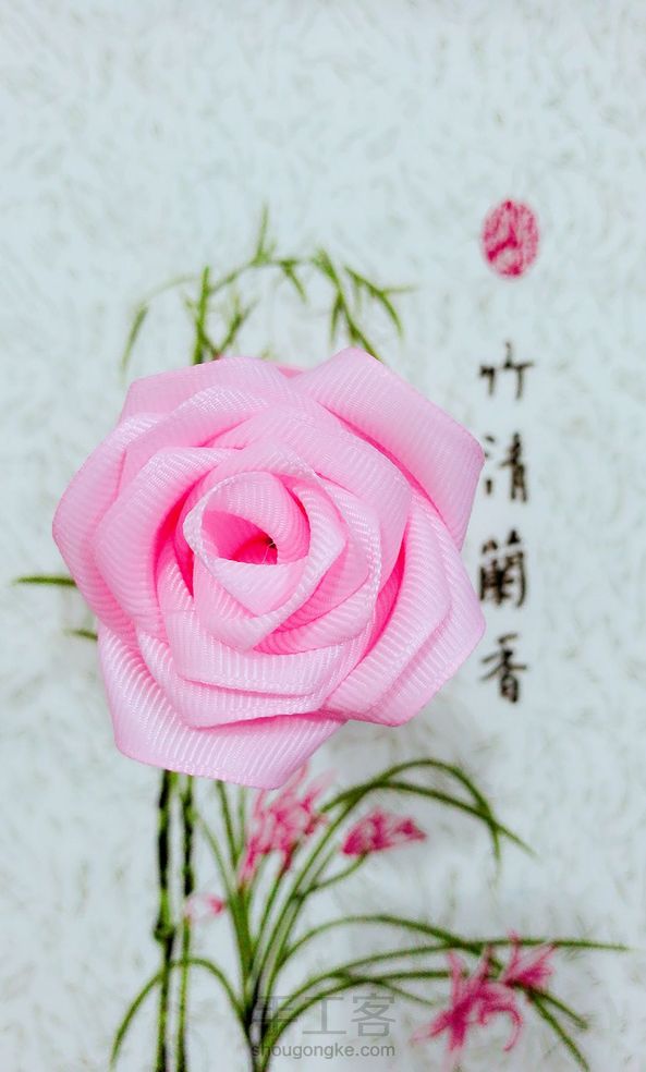 粉红玫瑰🌹