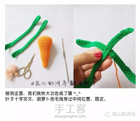 胡萝卜图解（转发）