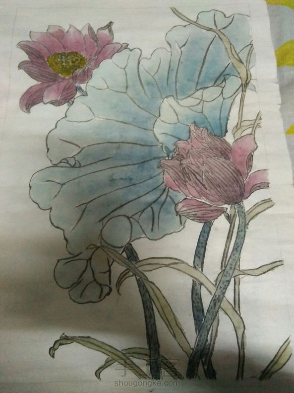 荷花涂色