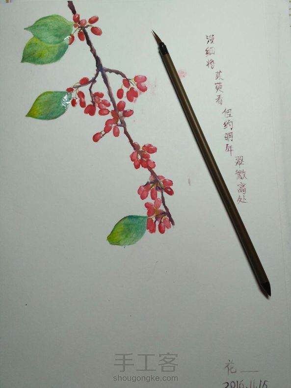 漫细将,茱萸看,但约明年,翠微高处