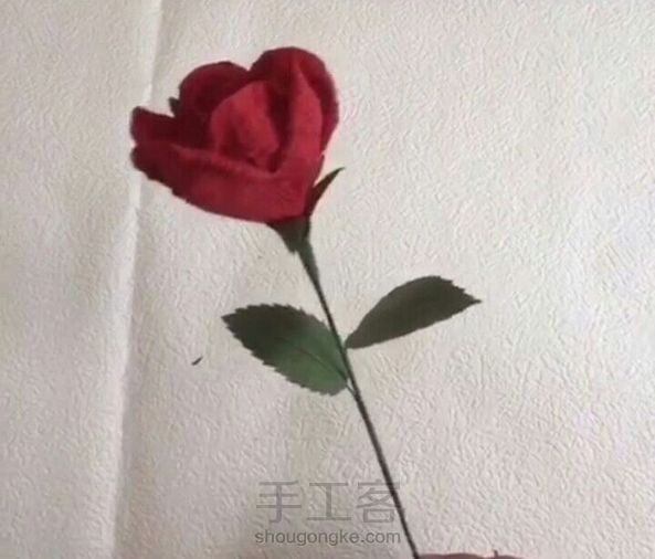 皱纹纸玫瑰花