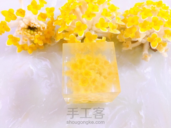 结香花-爱情树树脂