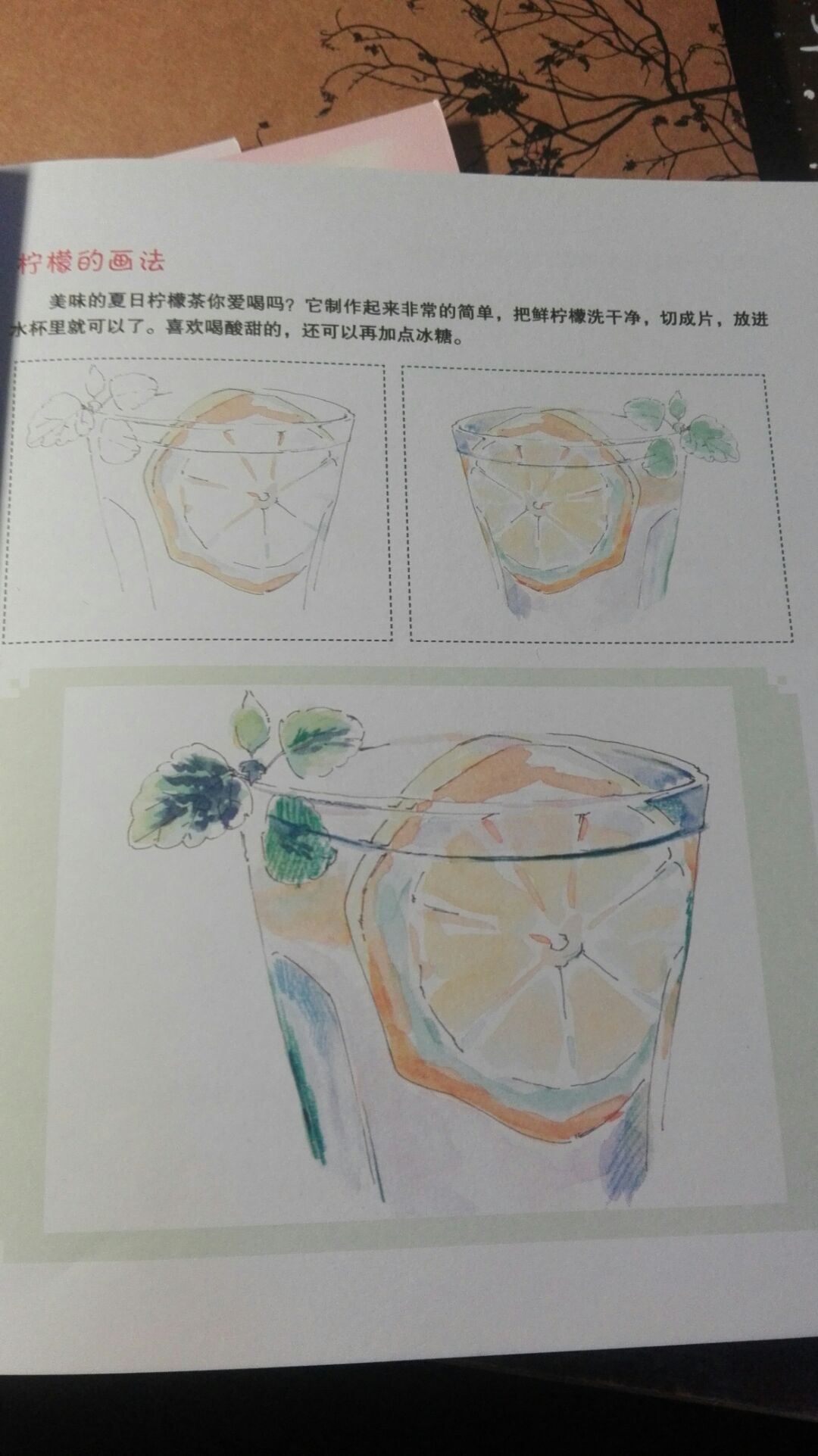 水溶彩铅画1 第2步