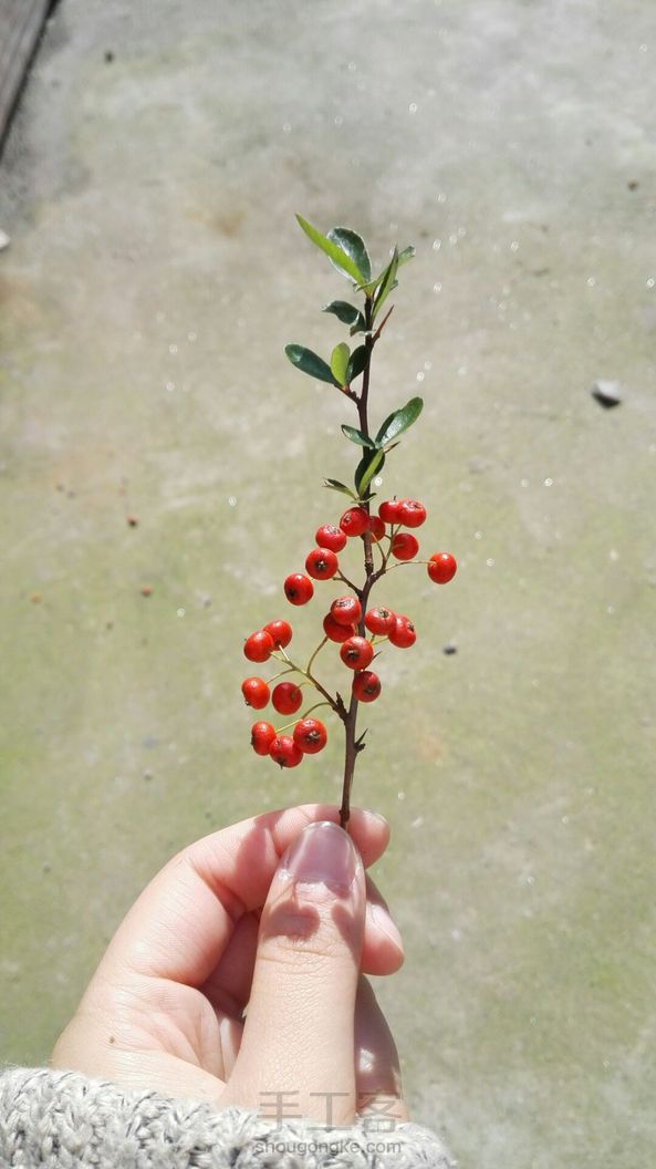 【原创】手绘小植物 水彩