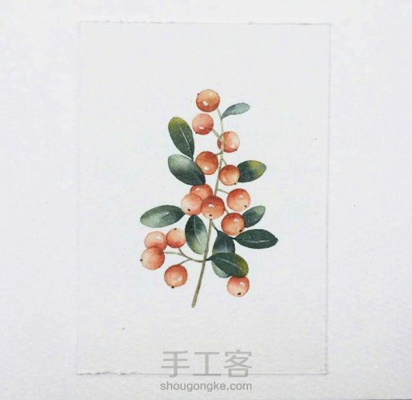 【临摹】mdol手绘小植物 水彩画 明信片