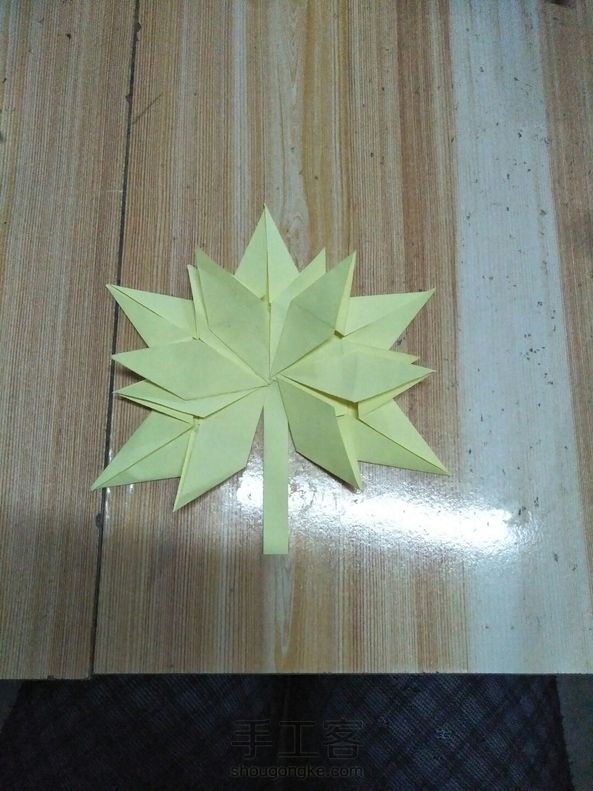 复杂的枫叶