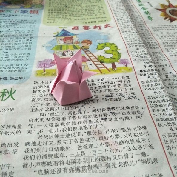 郁金香