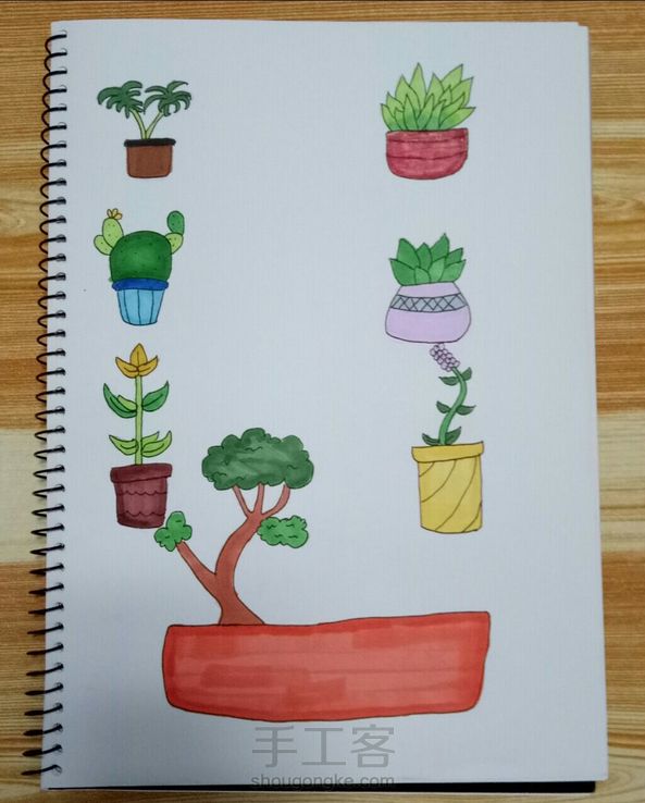 简单的植物插画