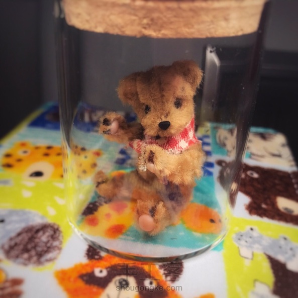 扭扭泰迪熊🐻之装饰方法