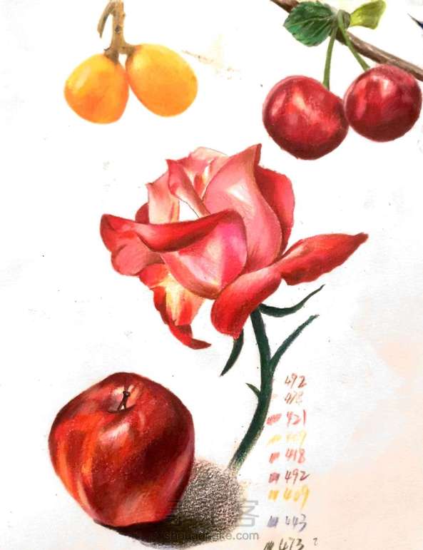 彩铅月季花【附色号】