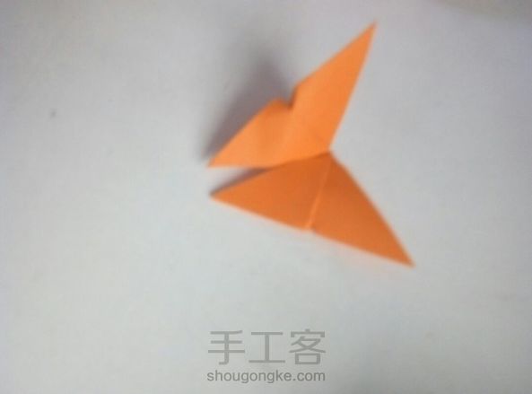 美丽的
