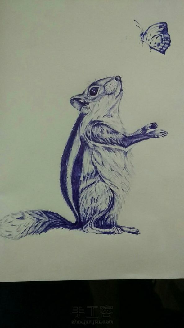 (教程)临摹一只可爱的松鼠