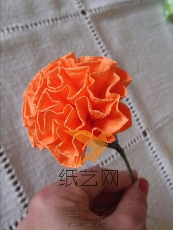 皱纹纸and母亲节😁😉😉(转载)