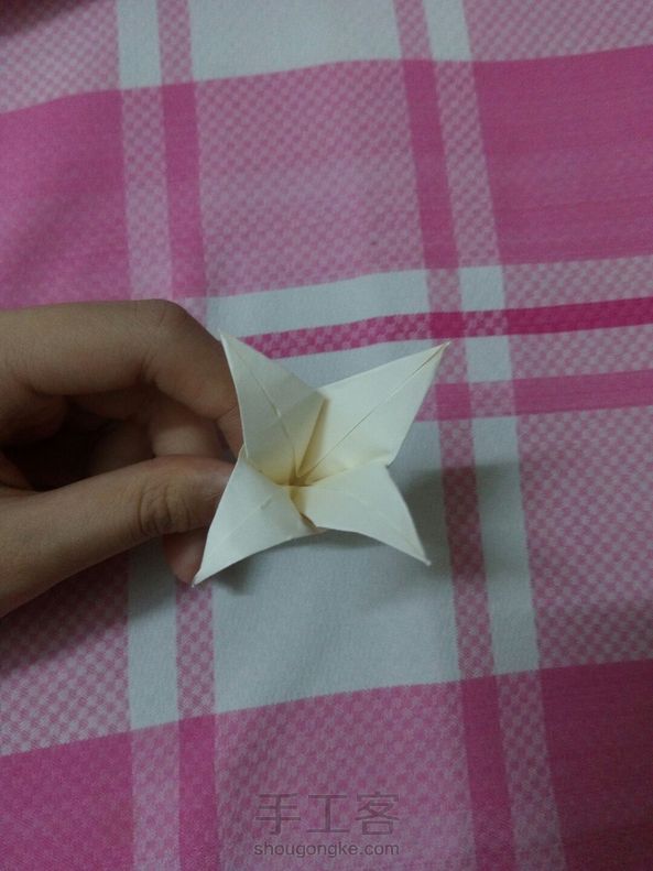 好一朵美丽的百合花