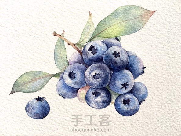 深夜嘴馋——蓝莓(问意见没人给,好伤,不过我脸皮厚)