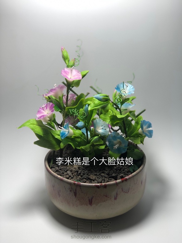 粘土花卉-牵牛花