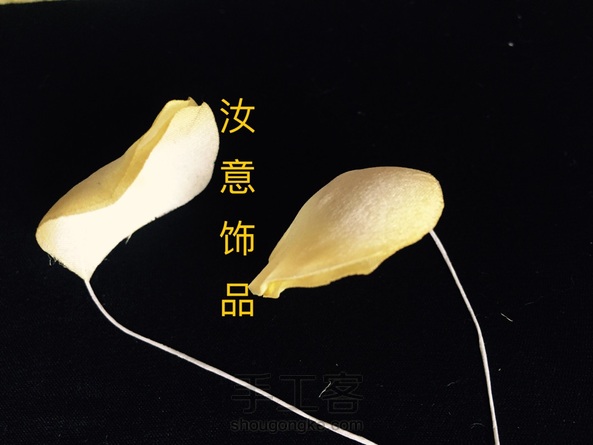 奥斯汀玫瑰待我信手拈来!