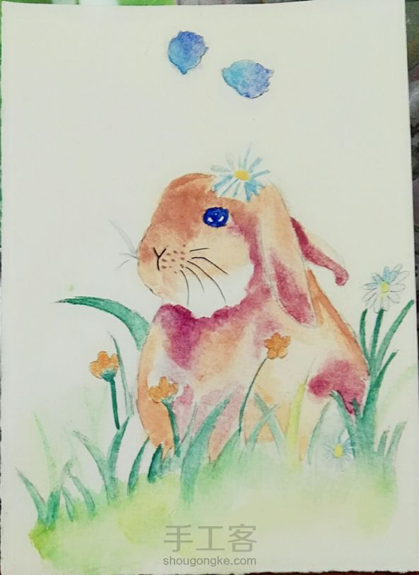 草丛中的小兔子