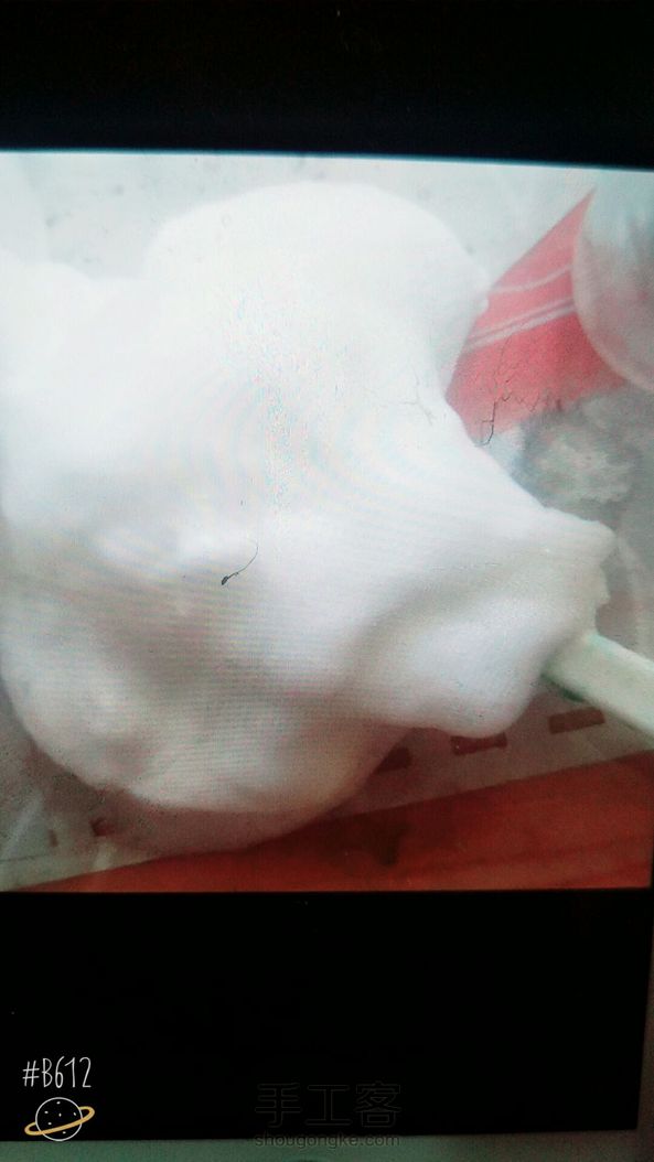 蚕丝泥