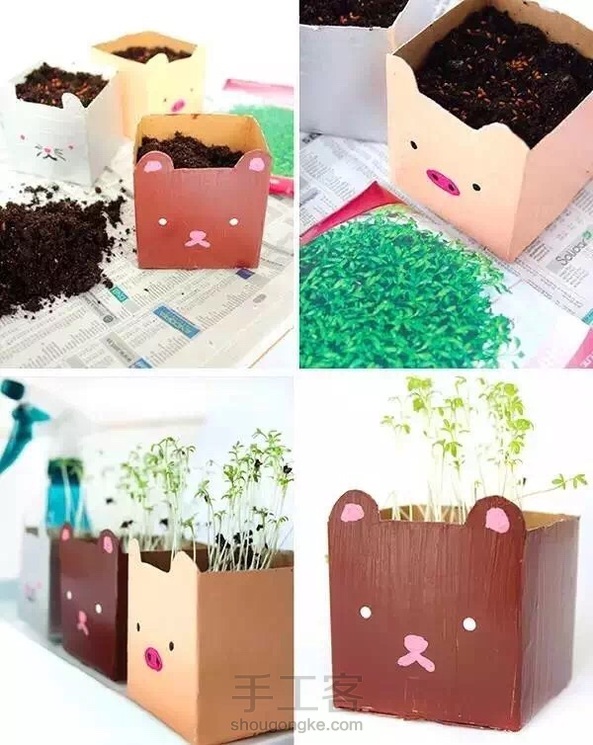 转载 牛奶盒花盆