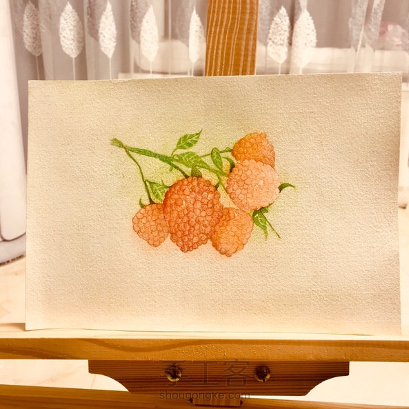 漂亮的彩铅画~小树莓