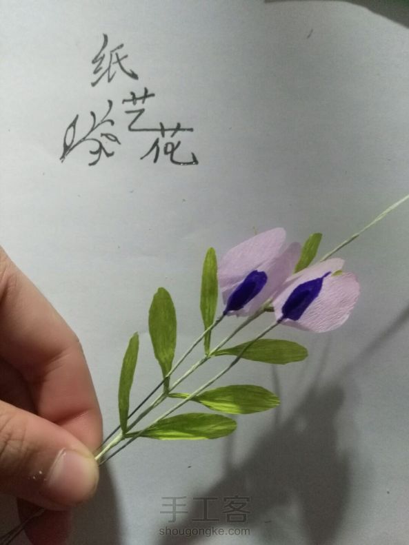 皱纹纸制作豌豆花教程