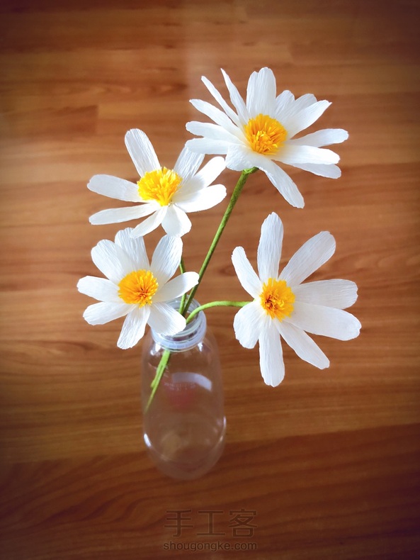 皱纹纸小雏菊,圣洁的爱