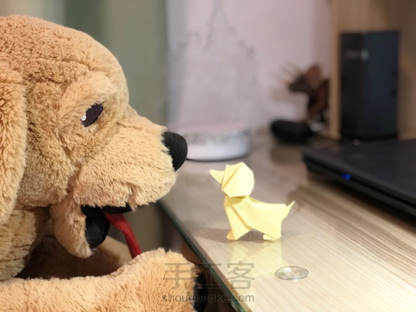小狗狗🐶来个简单点的(纸币狗狗难点,下次再发)