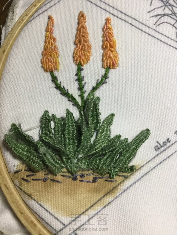 立体绣:芦荟