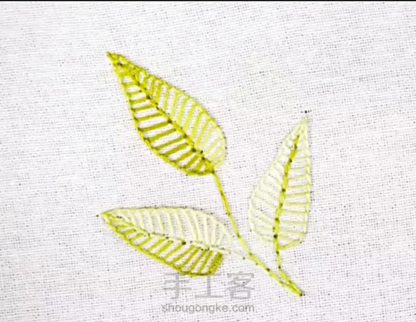 扣眼绣树叶