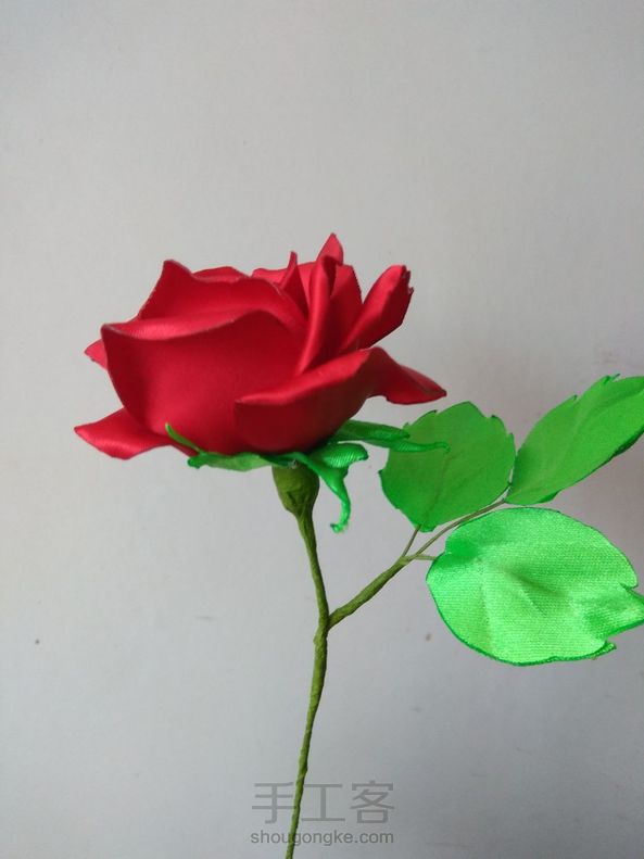 缎带烧花 玫瑰